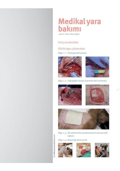 Deri Cerrahisinde Klinik Olgular fırsatları