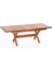 Focus 180X50 Iroko Ahşap Mutfak Salon Ağaç Masa 2