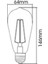 Rustik LED Ampül Flamanlı Şeffaf 8W Beyaz Işık CT-4353-B Cata 3