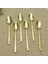 Schön Main 6 Kişilik Çay Kaşığı Parlak Gold 1