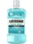 Listerine - Ağız Bakım Suyu Cool Mint 250ML 1