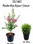 Pembe Oya Ağacı Fidanı(50-70)+Çalı ŞIMŞIRI(30-40CM) 2li Set Dış Mekan Bitkisi 1