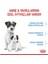 Mini Starter Mother & Babydog Kuru Köpek Maması 4 kg 3