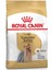 Royal Canin Yorkshire Terrier Yetişkin ve Yaşlılar Için Kuru Köpek Maması 1,5 kg 1