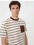 4SAM10083HK Koton Erkek T-Shirt Kahverengi Çizgili 5