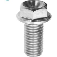 Plmxsi 2xm6 Titanyum Altıgen Başlı Flanş Cıvata Bağlantı Elemanı M6 x 10-65 M6 x 10 (Yurt Dışından)