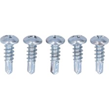 Plmxsi 50 Adet 4.2X13MM Kendinden Vuran Vidalar Ev Kurulumu Için Tam Dişli Galvanizli Metal Sondaj (Yurt Dışından)