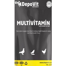 Depovit Multivitamin Amino Asit Toz 2*100 gr Ikili Paket