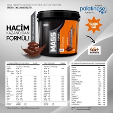 SSN Sports Style Nutrition Ssn Mass Refuel 5 kg Sütlü Çikolata