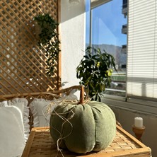 My Home Orta Boy Dekoratif Tarçınlı Bal Bağı