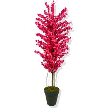 Cihan Çiçekçilik Fuşya Bahar Dalı 160 cm Üretim Saksısı