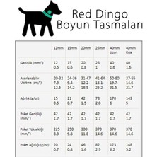 Red Dingo Fang It Desenli Kırmızı Köpek Boyun Tasması 15 mm