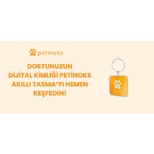 Petinoks Akıllı Köpek-Kedi Tasma: Konum Takibi - Dijital Künye - Kaybolma Karşıtı Gps Tracker