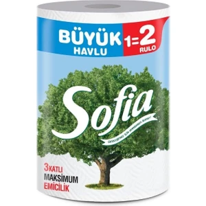 - Kağıt Dev Havlu Büyük - 4 Rulo