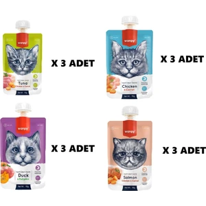 Premium 4’lü Lezzetli Kedi Ödülü Seti
