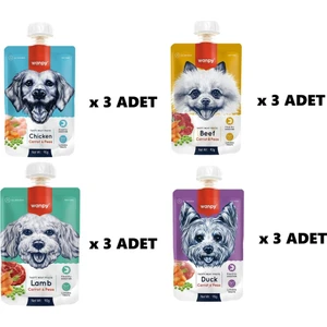 Premium 4’ Lü Lezzetli Köpek Ödülü Seti