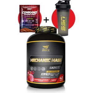 Onyx Mechanic Mass Karbonhidrat 4000 gr Çilek