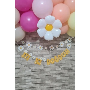 Papatya Tema 2li Set Banner Iyi Ki Doğdun Papatya Konsept Duvar Süsü