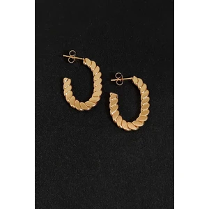 Trend Collection Kadın Gold 2,5 cm Paslanmaz Çelik Arpa Model Halka Küpe