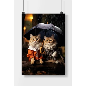 Poster City Postercity Şemsiyeli Kıyafetli Komik Kediler Hayvan Poster Çerçevesiz Parlak Kağıt