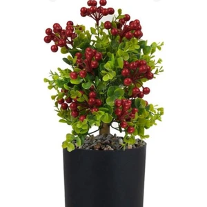 Yapay Çiçek Yılbaşı Çiçeği Kırmızı Kokina Siyah Saksıda 14 Dal 30*25CM