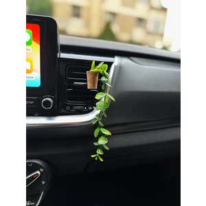 Plantarrium Design Oto Aksesuar/koku-Yapay Okaliptus