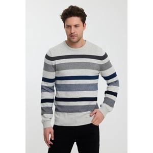 Alexander Gardi Bisiklet Yaka Çizgili Erkek KAZAK(E23-6712)