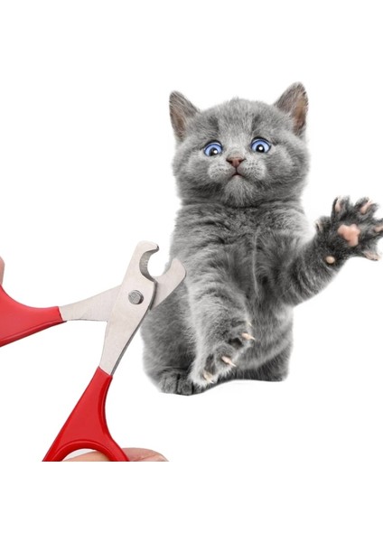 Kedi Tırnak Makası Küçük Köpek Kedi Için Profesyonel Köpek Pençeleri Kesici Pet Çivi Makas Düzeltici Bakım ve Bakım Kedi Aksesuarları (Yurt Dışından)