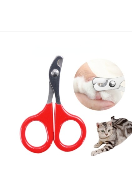 Kedi Tırnak Makası Küçük Köpek Kedi Için Profesyonel Köpek Pençeleri Kesici Pet Çivi Makas Düzeltici Bakım ve Bakım Kedi Aksesuarları (Yurt Dışından) modelleri