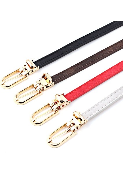 Ince Pu Deri Bel Kemeri Kadın Moda Metal Toka Pin Kayış Bayan Elbise Korse Kemer Kot Pantolon Pantolon Kemer Aksesuarı (Yurt Dışından)