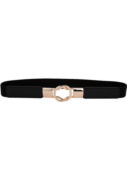 Kemer Kadın Dekoratif Elastik Elastik Elbise Kazak Takım Elbise Bel Basit Kemer Çok Yönlü Moda Kuşak (Yurt Dışından) fırsatları