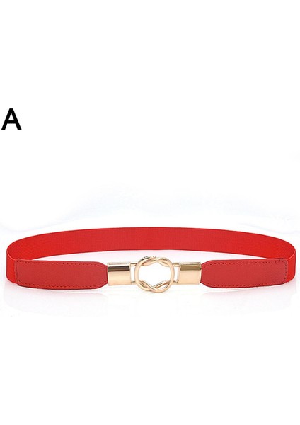 Elastische Riemen Voor Vrouwen Gesp Riemen Vrouwelijke Hoge Kwaliteit Vrouwen Mode Riemen Jurk Dunne Riem Tailleband Stretch Gebreide Çok Renkli (Yurt Dışından)