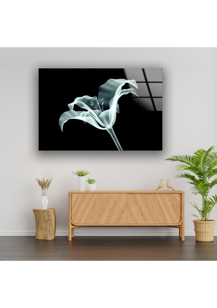 Xray Çiçek Cam Duvar Tablosu