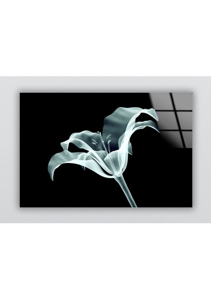Xray Çiçek Cam Duvar Tablosu fiyatları