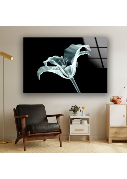 Xray Çiçek Cam Duvar Tablosu modelleri