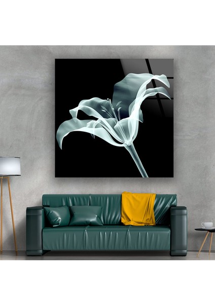 Xray Çiçek Cam Duvar Tablosu fırsatları