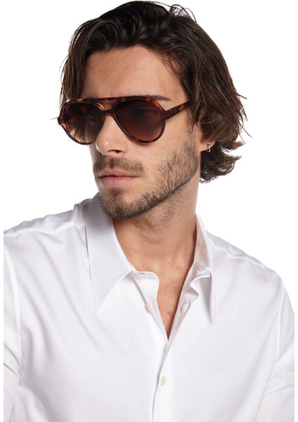 Alessio Unisex Güneş Gözlüğü Klasik Havana