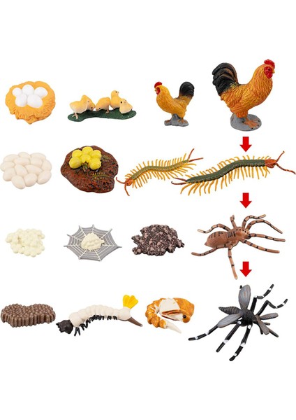 16PCS Çiftlik Hayvanları Figürler Tavuk Kırkayak Oyuncaklarının Yaşam Döngüsü (Yurt Dışından)