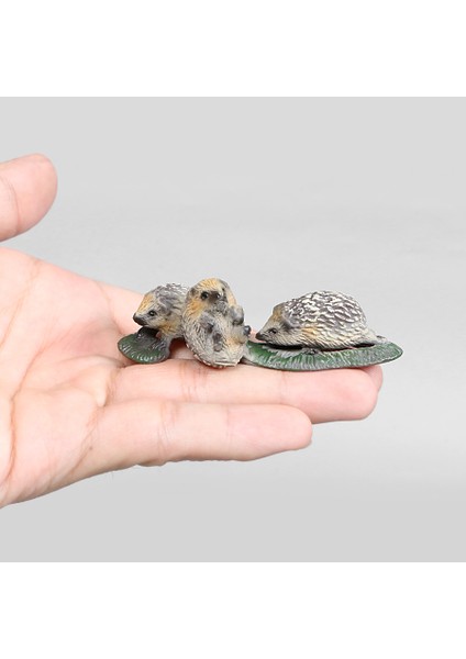 Gerçekçi Kirpi Modelleri Hayvan Aksiyon Figürleri Figürler Vahşi Orman Hayvan Hayvanat Bahçesi Modelleri Çocuklar Için Eğitici Oyuncaklar (Yurt Dışından) modelleri