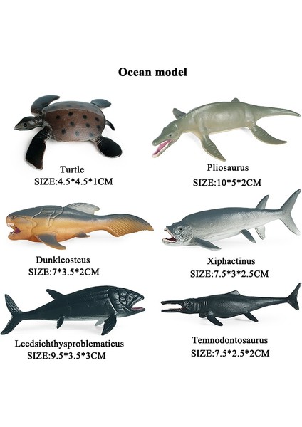 Oenux Tarih Öncesi Sealife Hayvanlar Köpekbalığı Balina Nautilus Modeli Aksiyon Figürleri Küçük Deniz Minyatür Pvc Sevimli Çocuk Oyuncakları (Yurt Dışından) modelleri