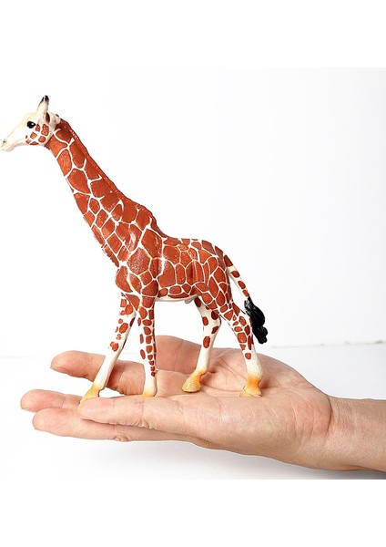 Gerçekçi Zürafa Figürleri Zürafa Yavrusu Safari Hayvanlar Modeli Figürleri Aile Eğitici Oyuncak Kek Toppers Hediye (Yurt Dışından) fırsatları