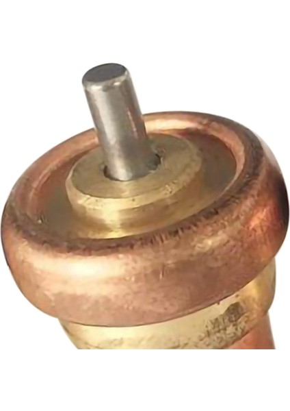 Nxfdsıoz 2x Yedek Vmc Termostat Valfı Çekirdek Açma Sıcaklığı 71 Derece C (Yurt Dışından) fırsatları