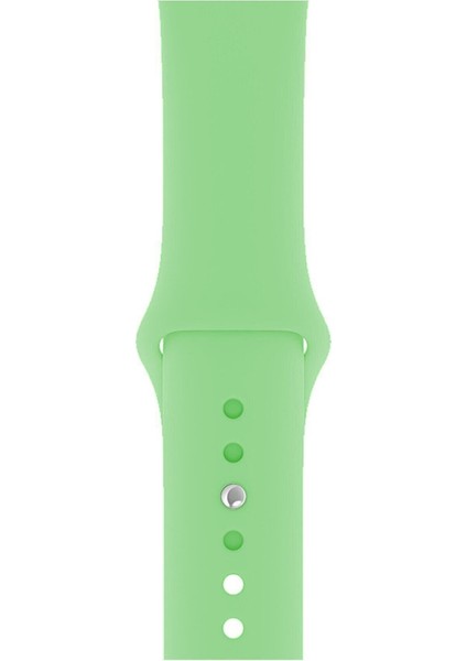 Apple Watch Seri 1/2/3/4/5/6/7/8/se/ultra 42MM 44MM 45MM 49MM Kordon Kayış Bileklik Klasik Silikon Yeşil