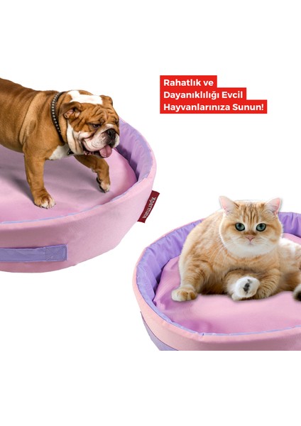 Sünger Simit Köpek Yuvası Küçük Irk Köpek Yatağı ve Kedi Yatağı 55 cm Pembe Lila