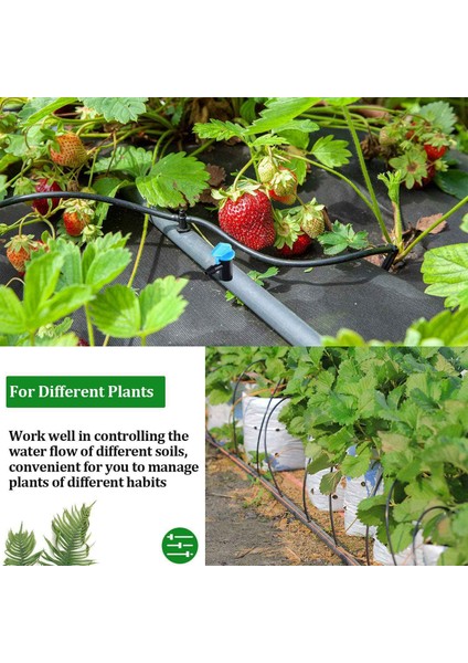 60 Parça Damla Verici Bahçe Bayrağı Sulama Damlatıcı, 3 Boyutta, Ağaçlar ve Çalılar, 1 Gph, 2 Gph, 4 Gph (Yurt Dışından) fırsatları