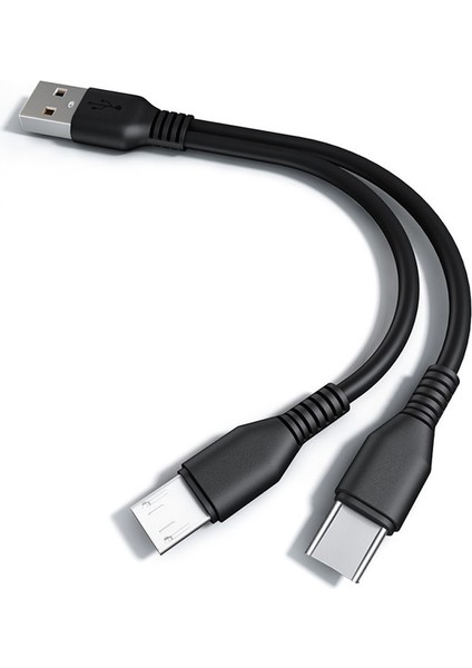 In 1 Tip C Mikro USB Kablosu Cep Telefonu Hızlı Şarj Kablosu Iki Cihaz Splitter Mikro USB C Tel Samsung S21 Xiaomi Mi 11 (Yurt Dışından)