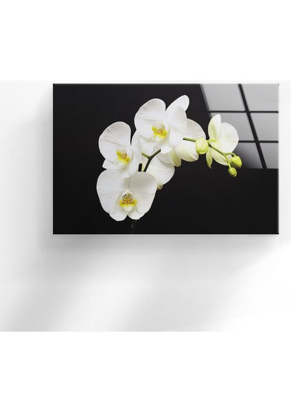 Beyaz Çiçek Temperli Cam Duvar Tablosu