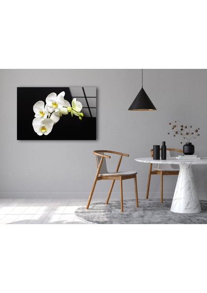 Beyaz Çiçek Temperli Cam Duvar Tablosu fırsatları