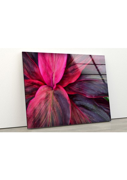 Botanik Pembe Yapraklar Temperli Cam Duvar Tablosu fiyatları