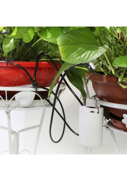 Houseplants Kapalı Saksı Bitkileri Için 1-10 Günlük Dijital Su Zamanlayıcılı Kendi Kendine Sulama Sistemi Tatil Bitki Sulaması (Yurt Dışından)